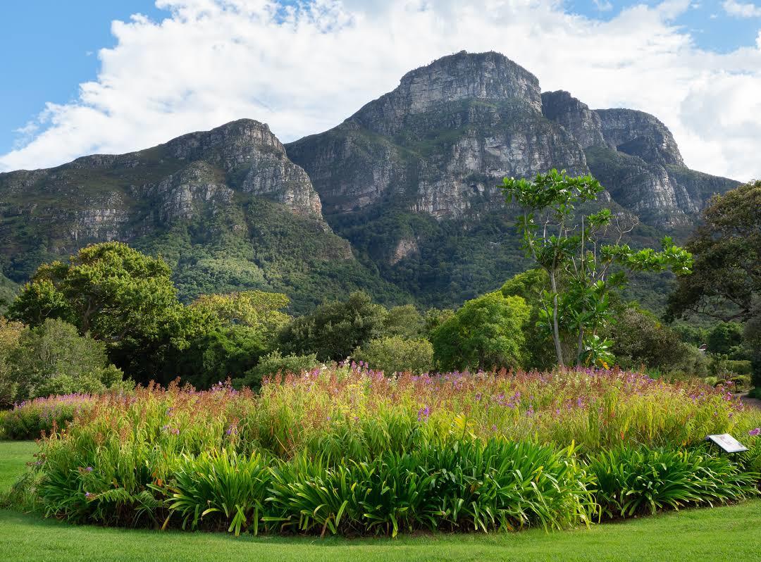 Kirstenbosch National Botanical Garden